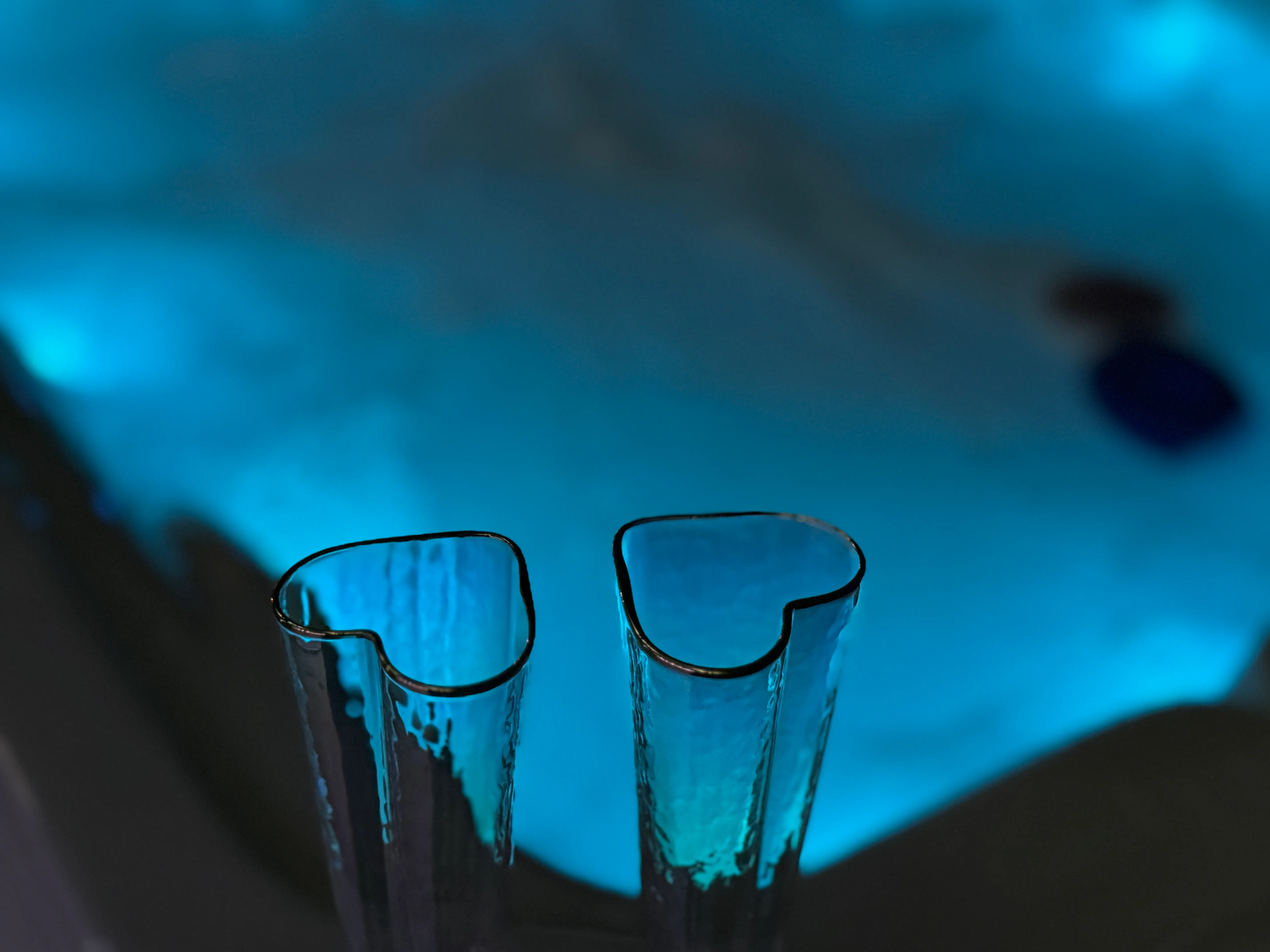 Vue d'ensemble de l'espace spa et sauna privatif